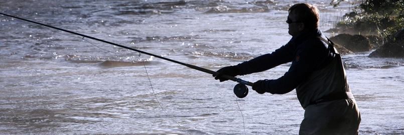 Salmon Fishing on the Finn