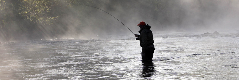 Salmon Fishing on the Finn