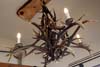 antlers1