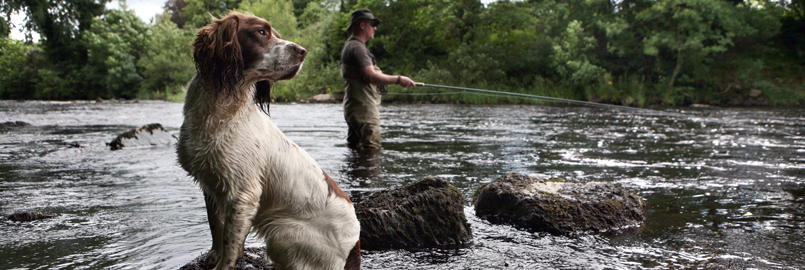 Salmon Fishing on the Finn