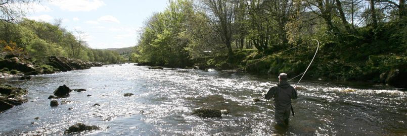 Salmon Fishing on the Finn
