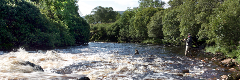 Salmon Fishing on the Finn