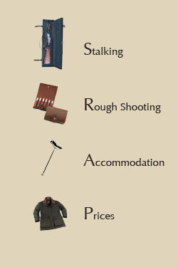 taking notes